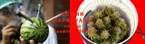 гидра Медвежьегорск