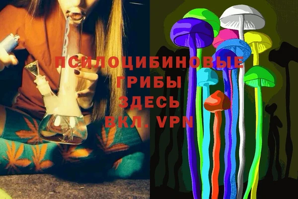 гидра Медвежьегорск