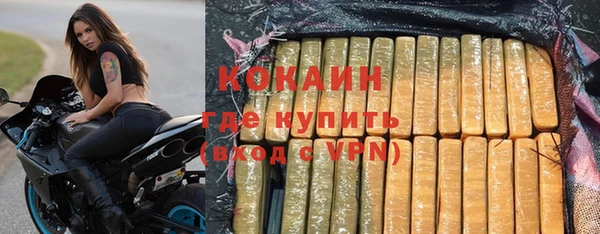 дживик Весьегонск