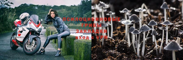 Альфа ПВП Мегион