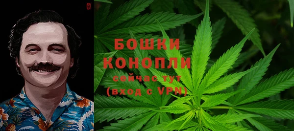 Альфа ПВП Мегион