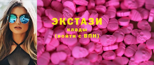 гидра Медвежьегорск