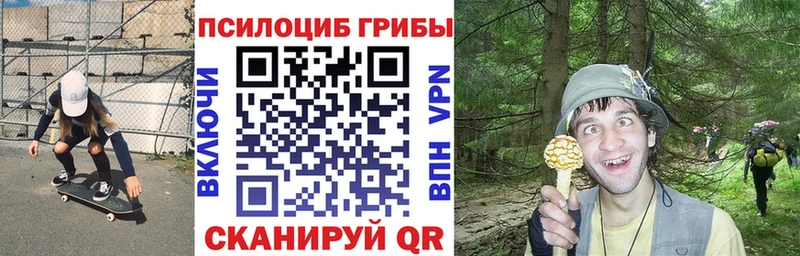 Галлюциногенные грибы GOLDEN TEACHER  купить наркотики цена  Полярный 